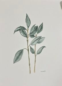ציור A3